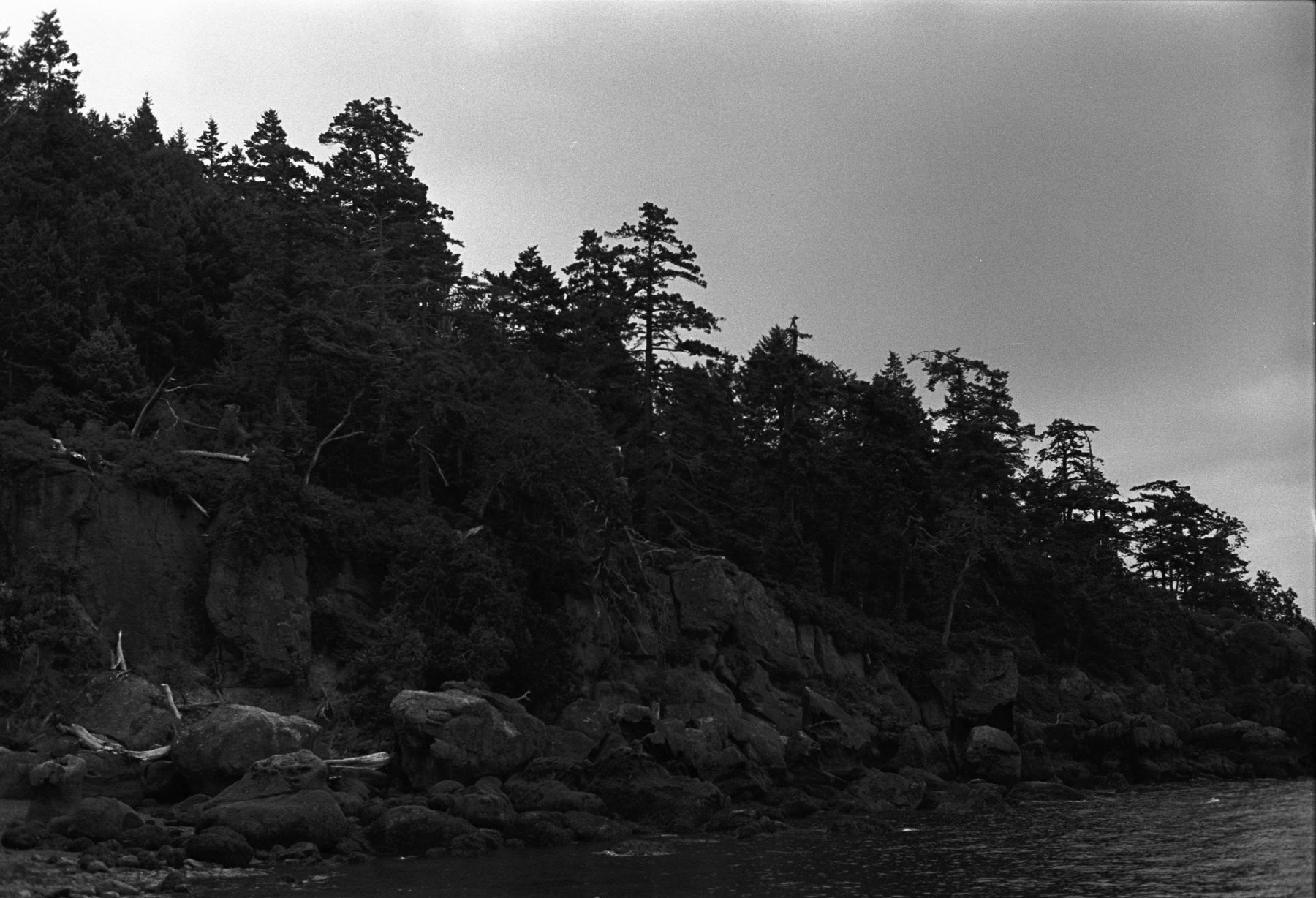 A rocky point crowded with wind-bent conifers, the sky bright behind them.